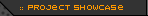 Project Showcase